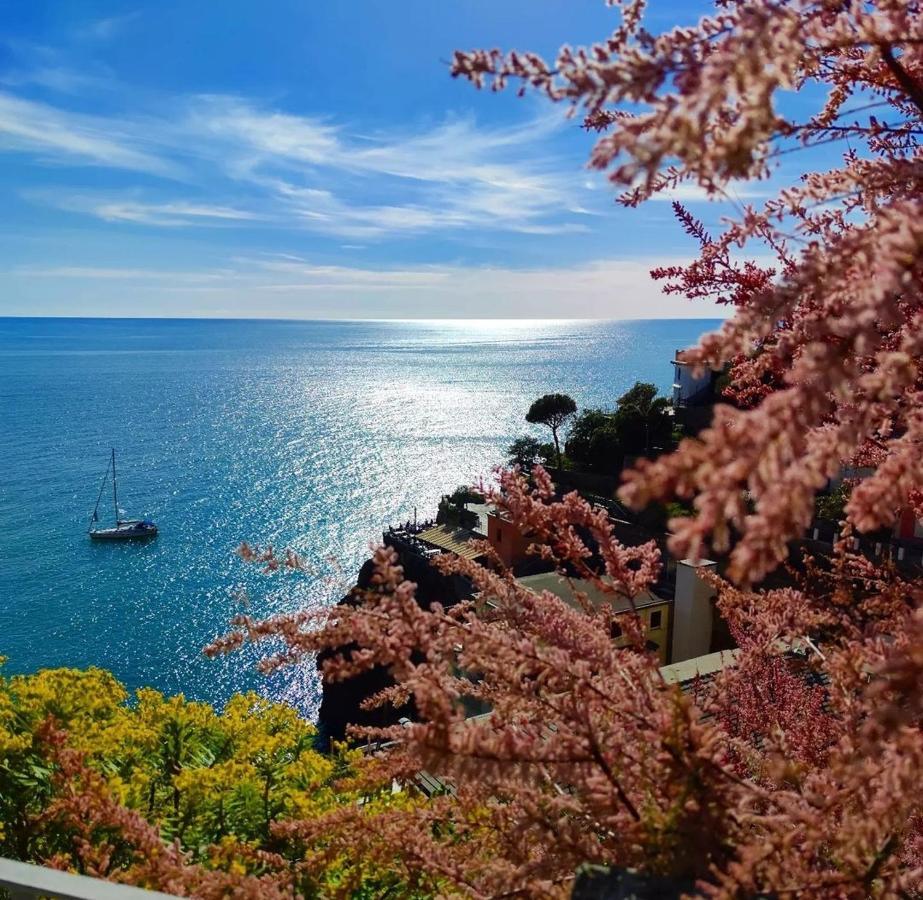 Maison Exotique - Riomaggiore / Cinque Terre / Beach Travel Eksteriør bilde